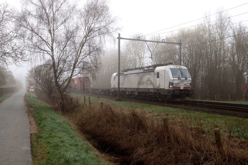 TXL goederentrein gestrand in Zevenaar 